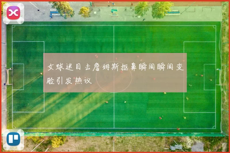女球迷目击詹姆斯抠鼻瞬间瞬间变脸引发热议